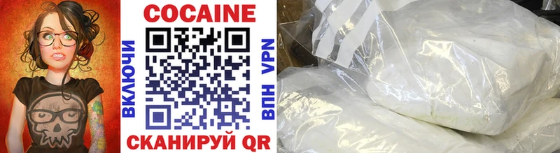 закладка  Ардатов  COCAIN FishScale 