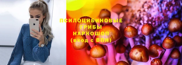 таблы Алексин