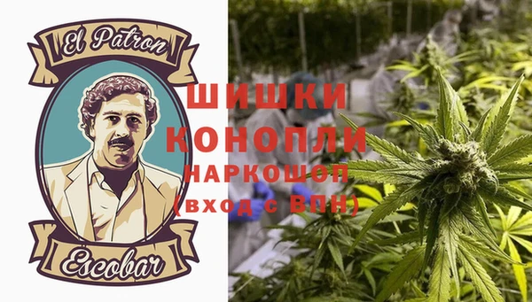 трава Алзамай