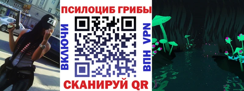 маркетплейс Telegram  купить  сайты  hydra tor  Ардатов  Галлюциногенные грибы Psilocybe 